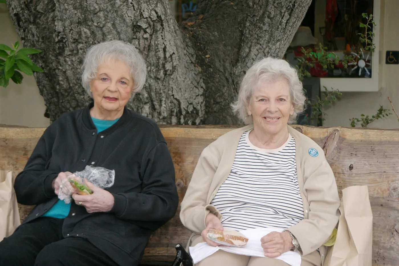 Seniors Free Day