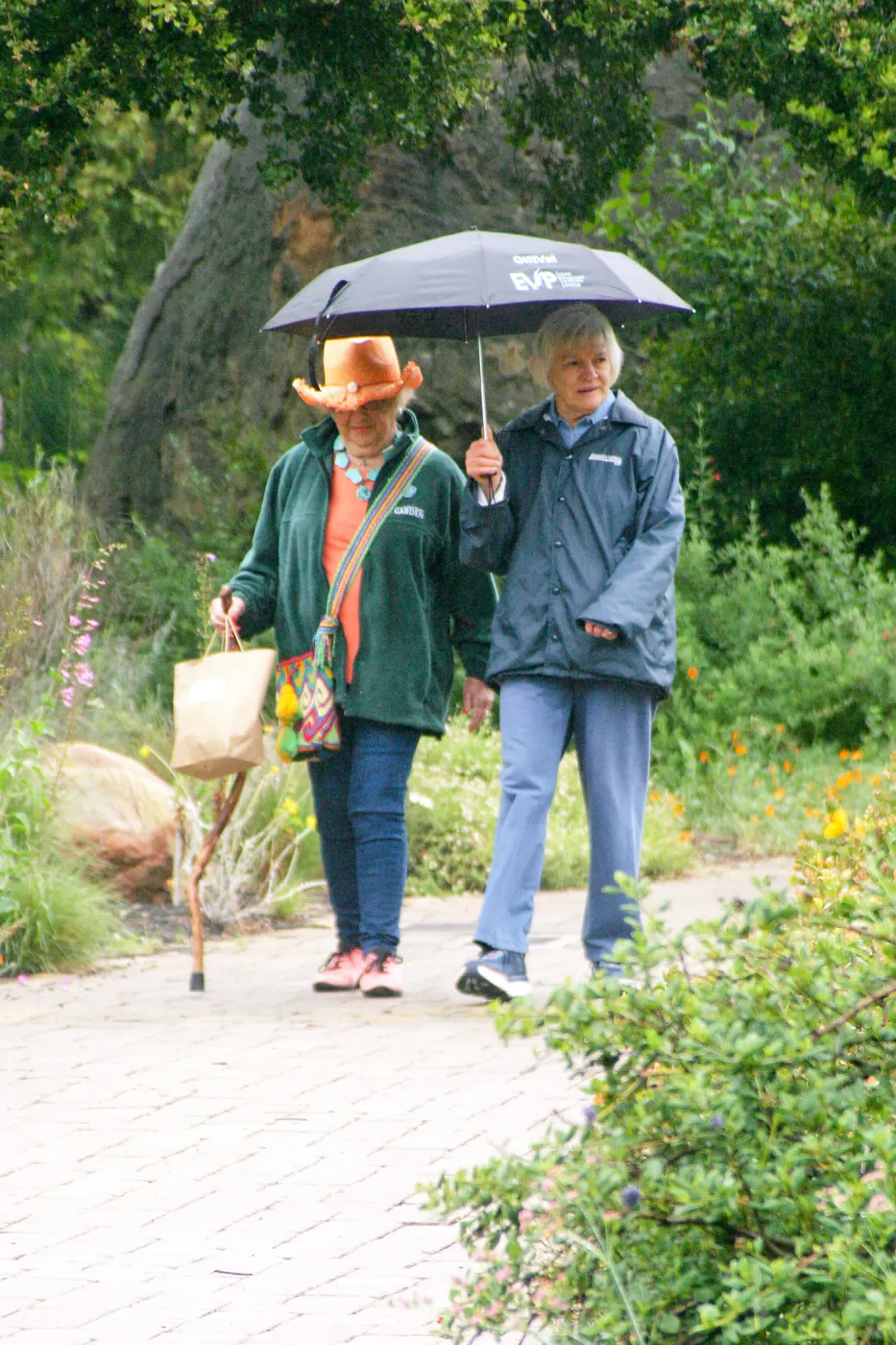 Seniors Free Day