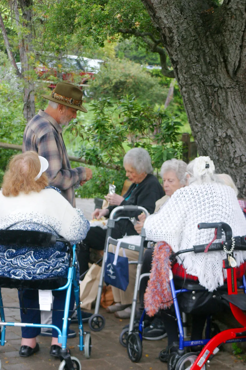 Seniors Free Day