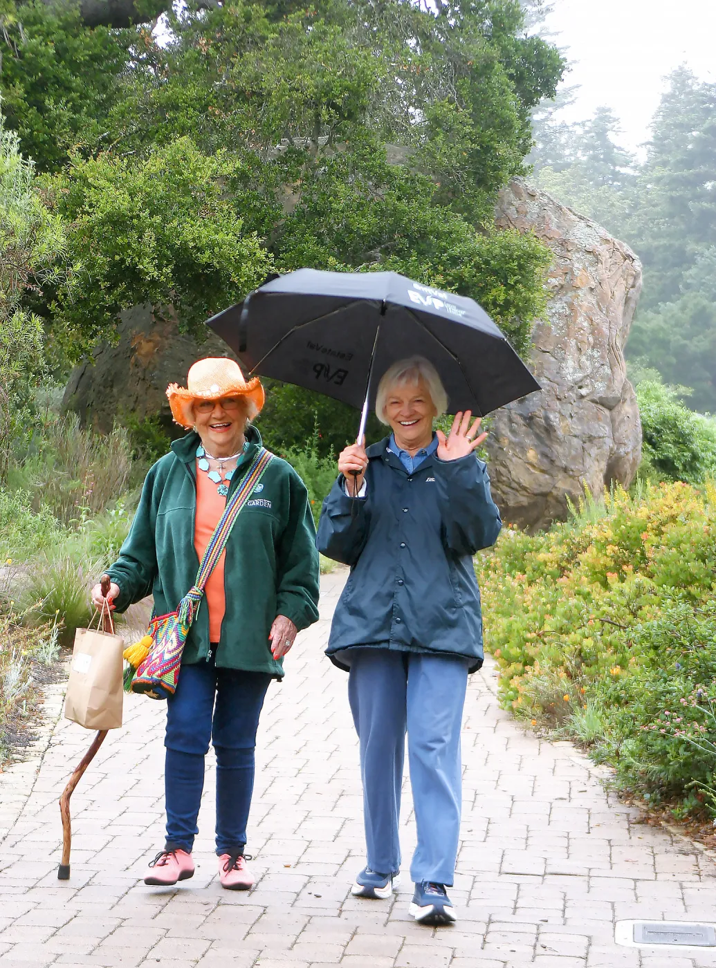 Seniors Free Day