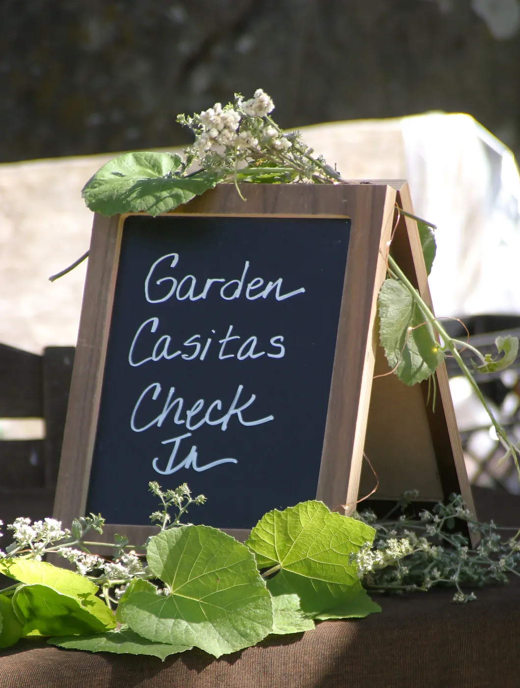Santa Barbara Botanic Garden Casitas Opening