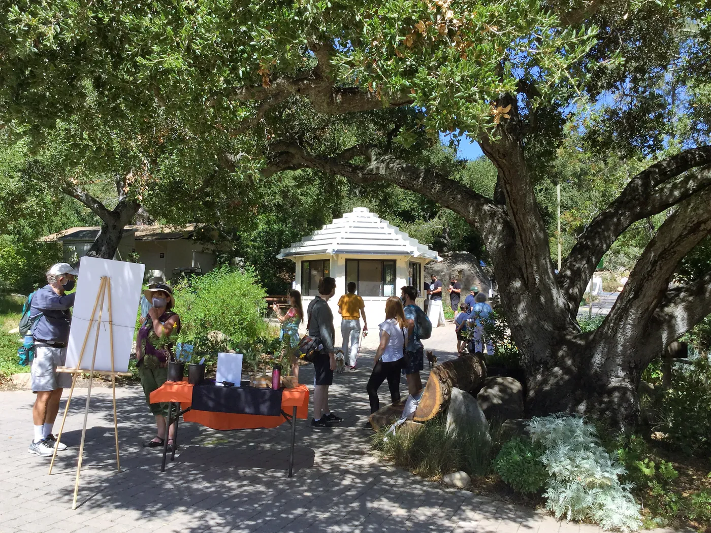 Main entrance scene during Covid-19 pandemic