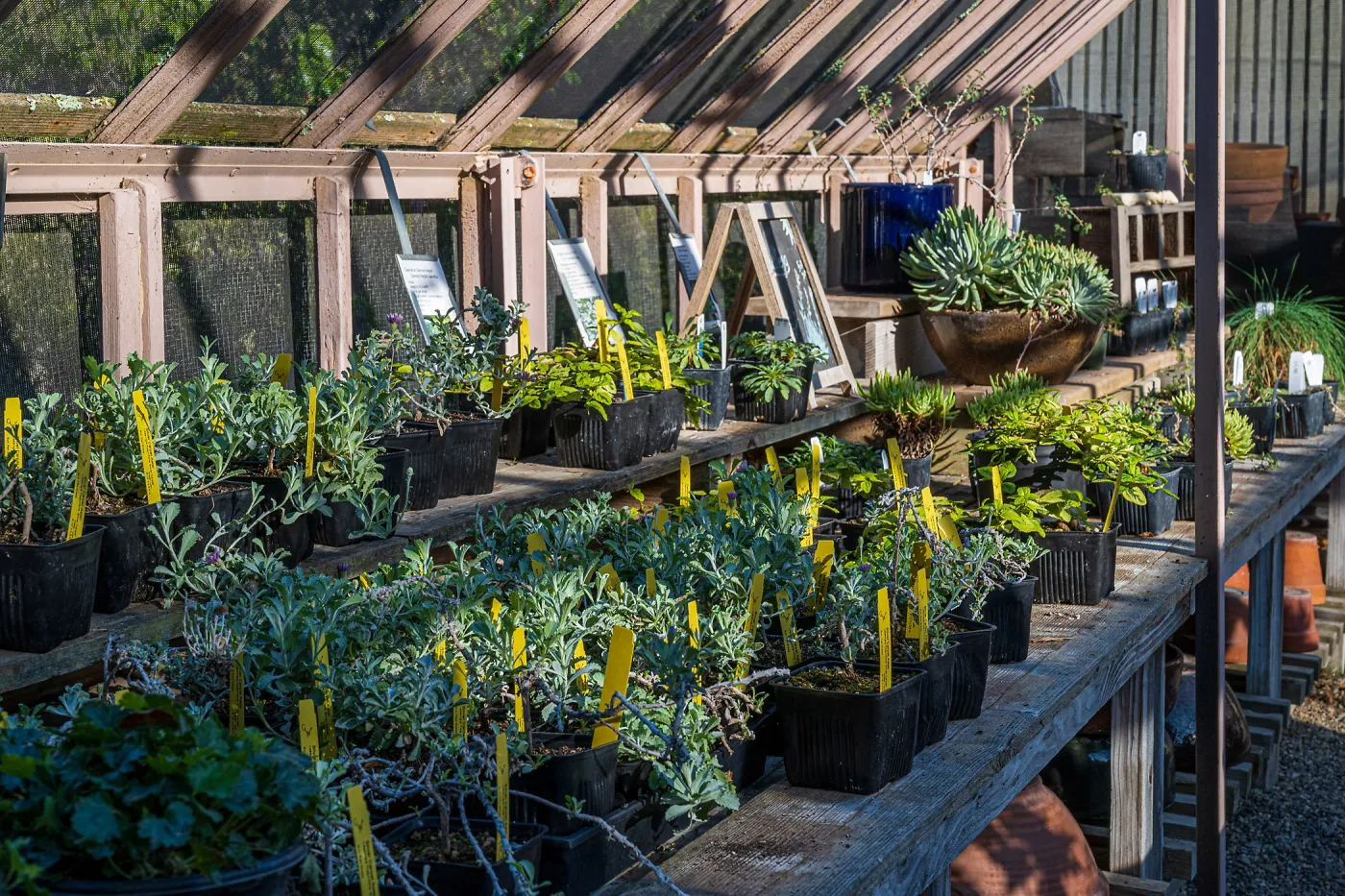 Garden Growers Nursery