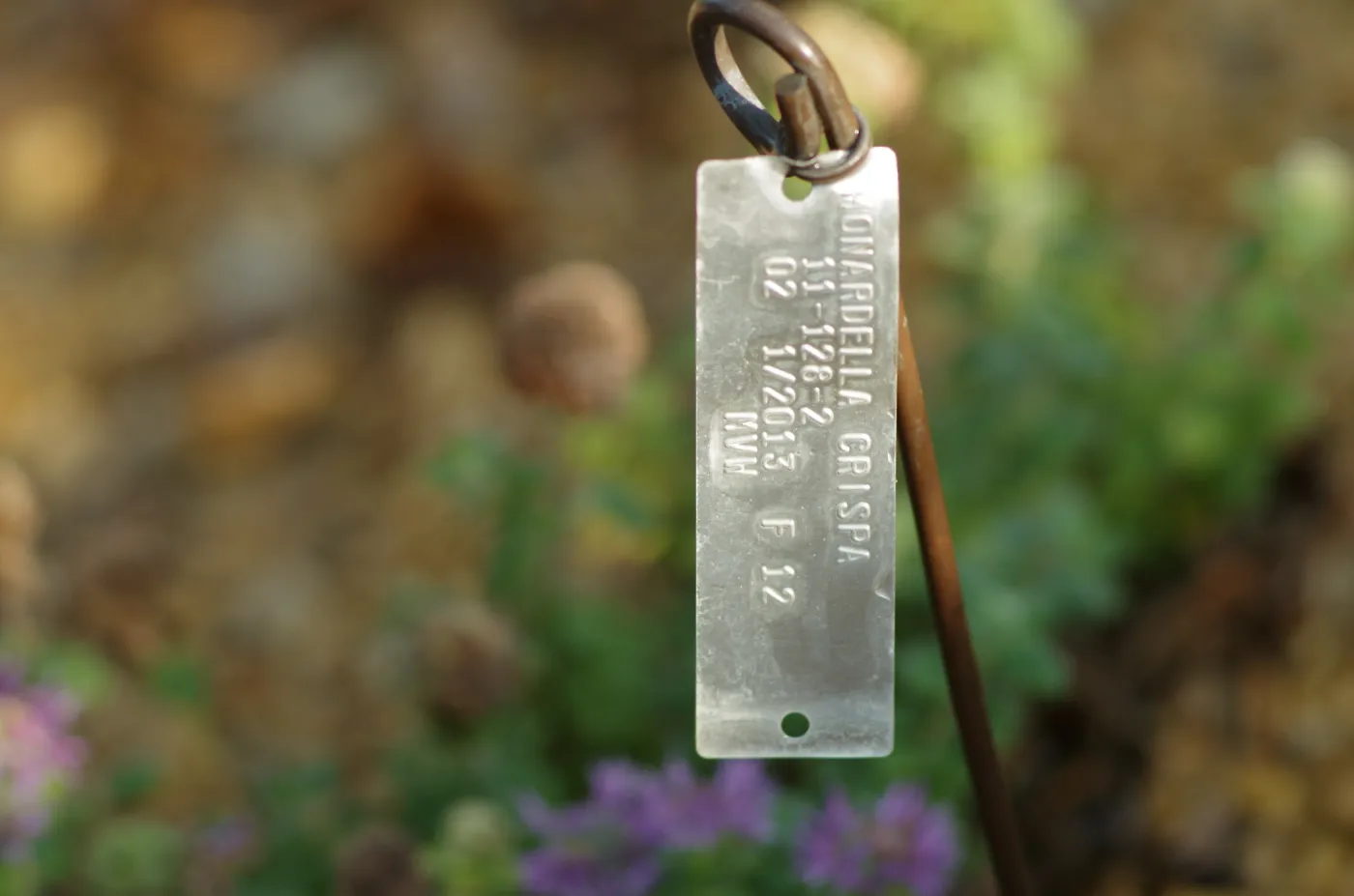 Plant Accession Label