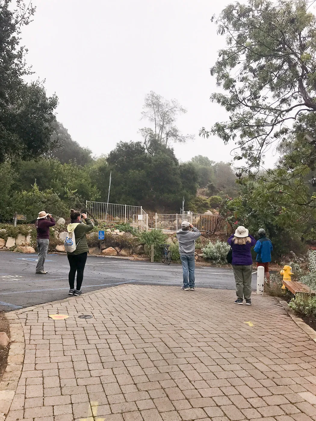Morning Bird Walk