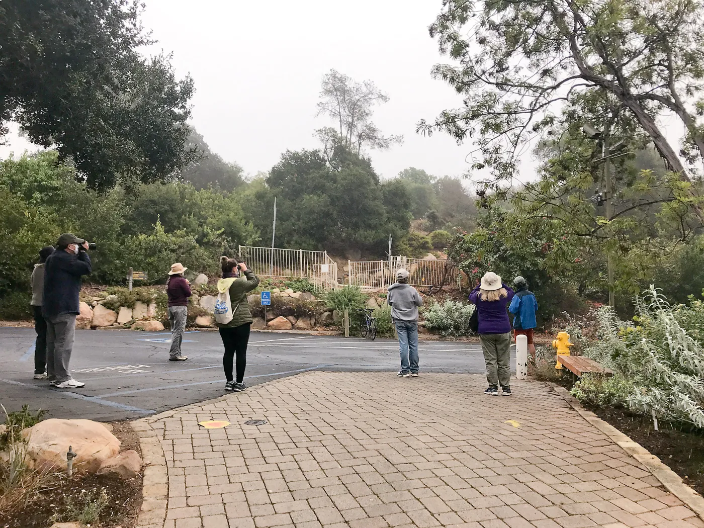 Morning Bird Walk