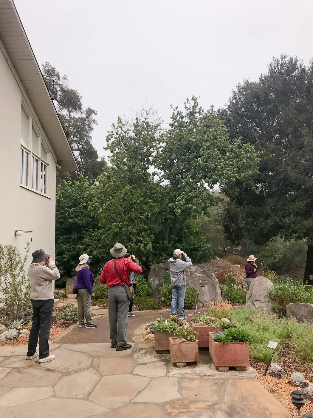Morning Bird Walk