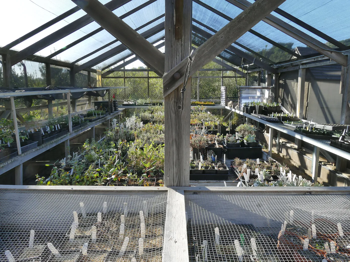 Liner House at Horticulture Unit