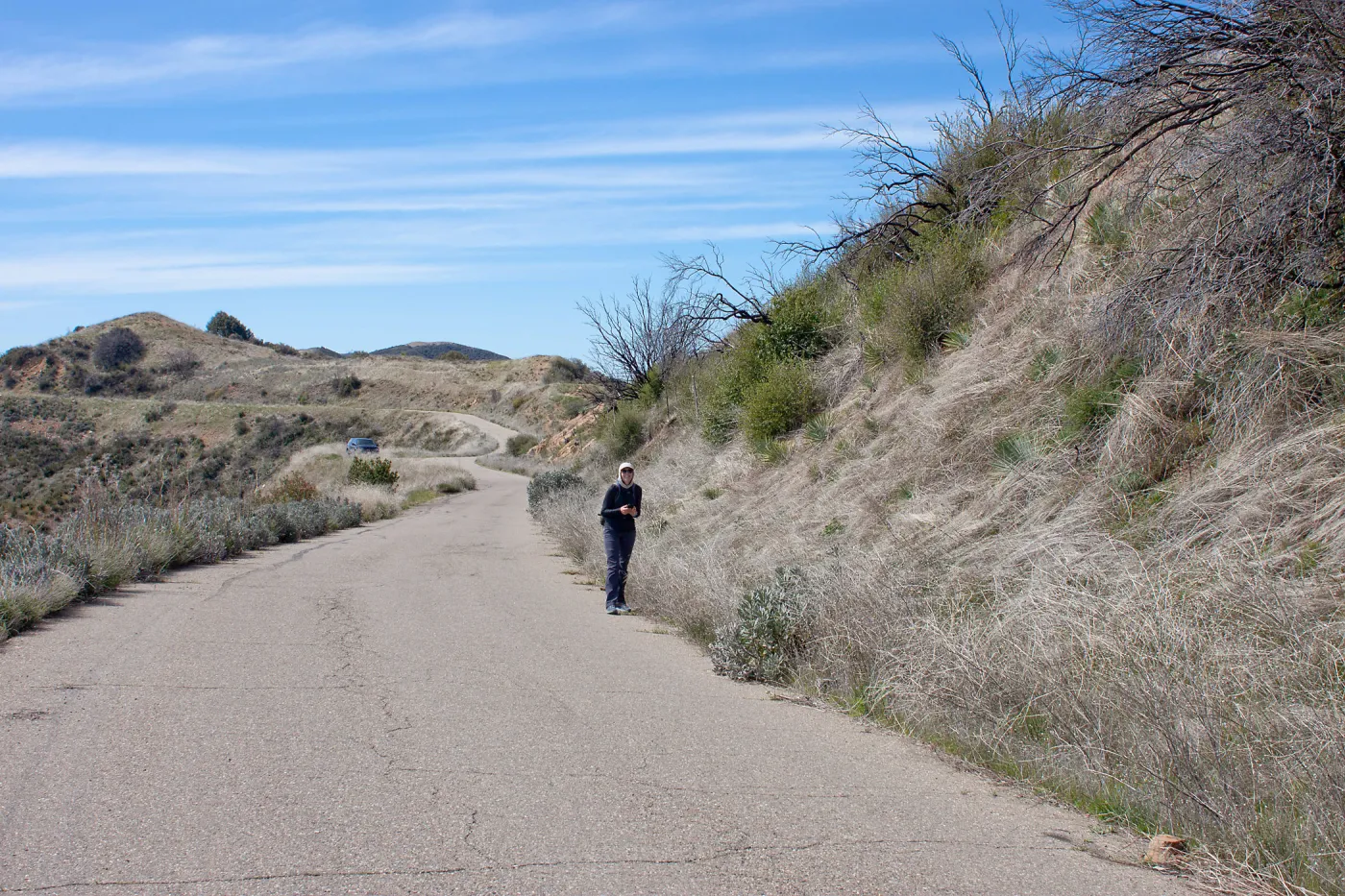 Stephanie Calloway surveying along East Camino Cielo for invasive species and rare plants, CA, Thomas Fire Survey - Mapping Recovery project