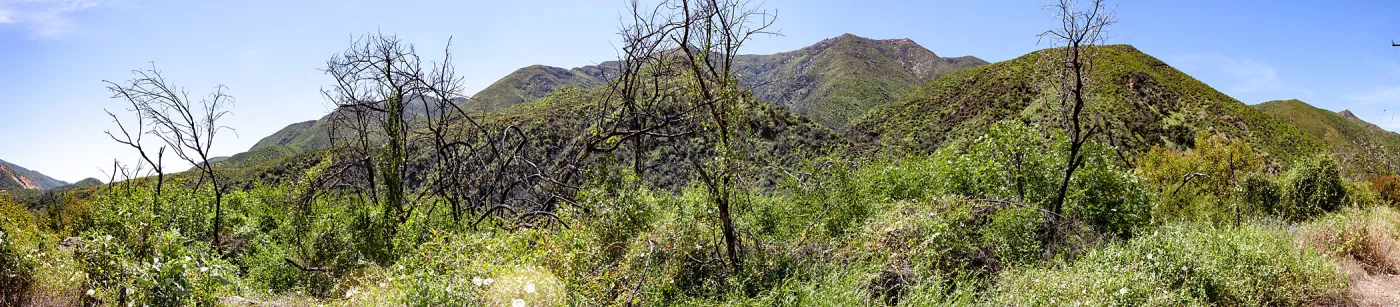 Post-burn landscape along Matilija Creek, Matilija Road, Ojai, California, Thomas Fire Survey - Mapping Recovery project