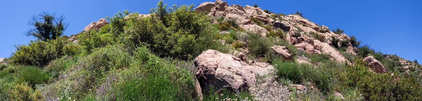 Panorama of rocky outcrop and chaparral, Saddlerock Trail, Santa Barbara, California, Thomas Fire Survey - Mapping Recovery project