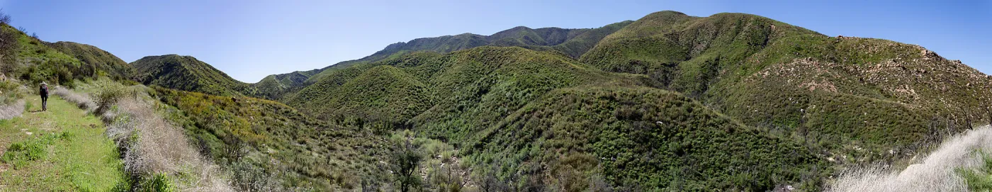 Stephanie Calloway walks along 5N13 through a post-burn chaparral landscape, Forest Service Road 5N13, Santa Barbara, CA, Thomas Fire Survey - Mapping Recovery project