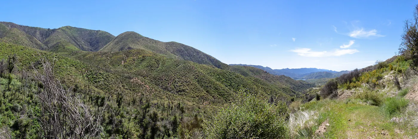 Post-burn chaparral landscape, Forest Service Road 5N13, Santa Barbara, CA, Thomas Fire Survey - Mapping Recovery project