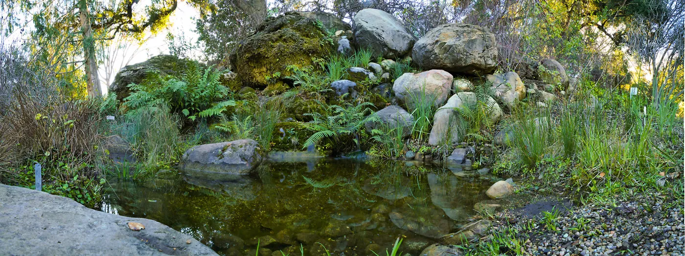 Lower Pond in the Arroyo Section