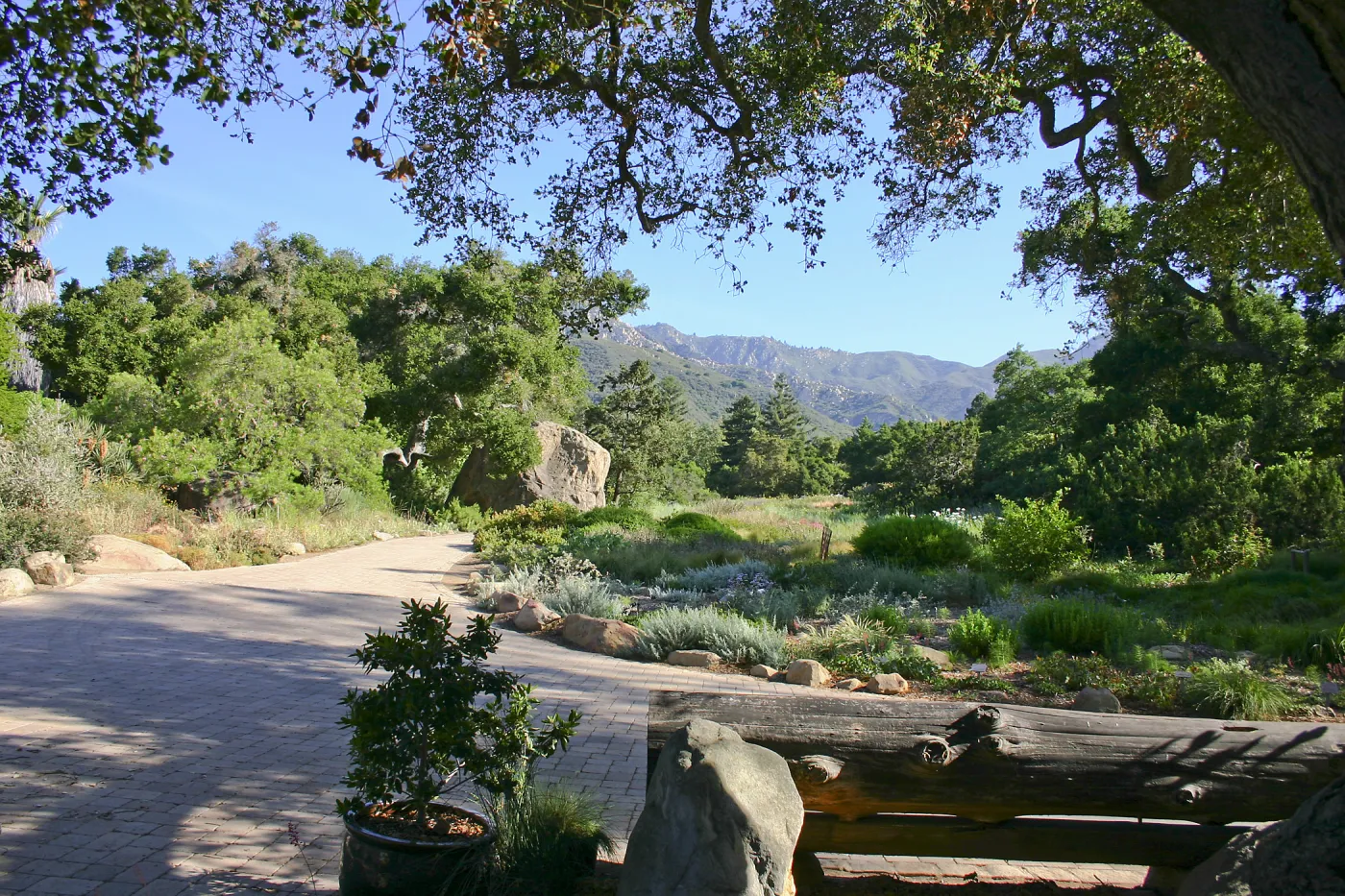 Groundcover Section, Blaksley Bouder, and Meadow viewed from the Garden Shop