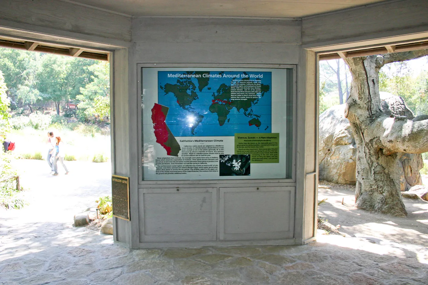 Mediterranean climate display in the Information Kiosk
