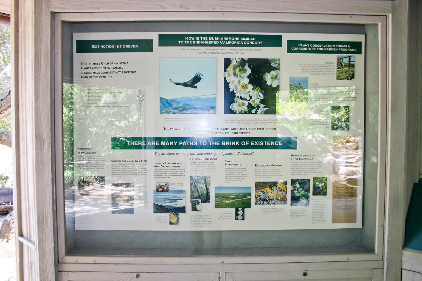 Extinction display in the Information Kiosk