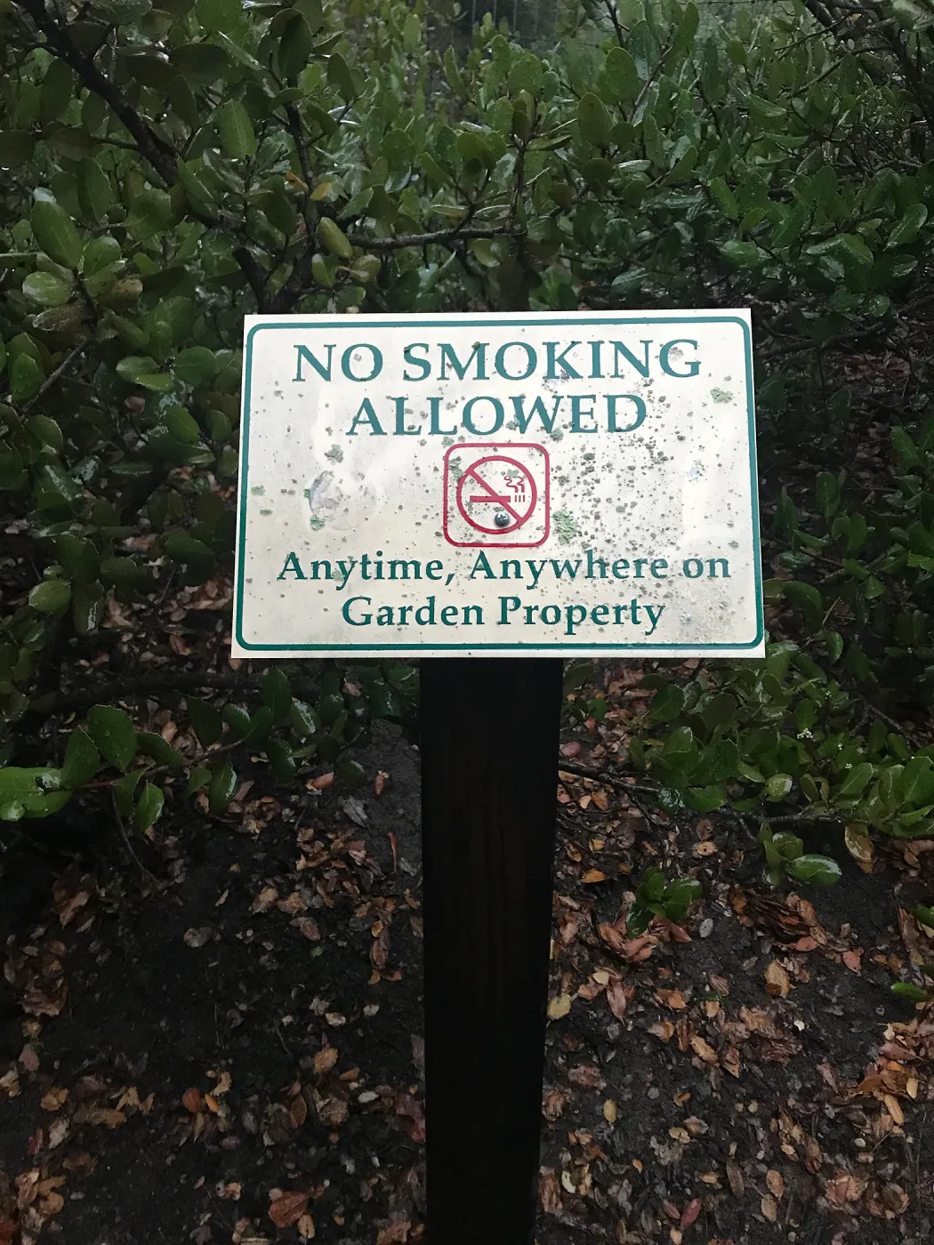 No smoking sign in the main parking lot.