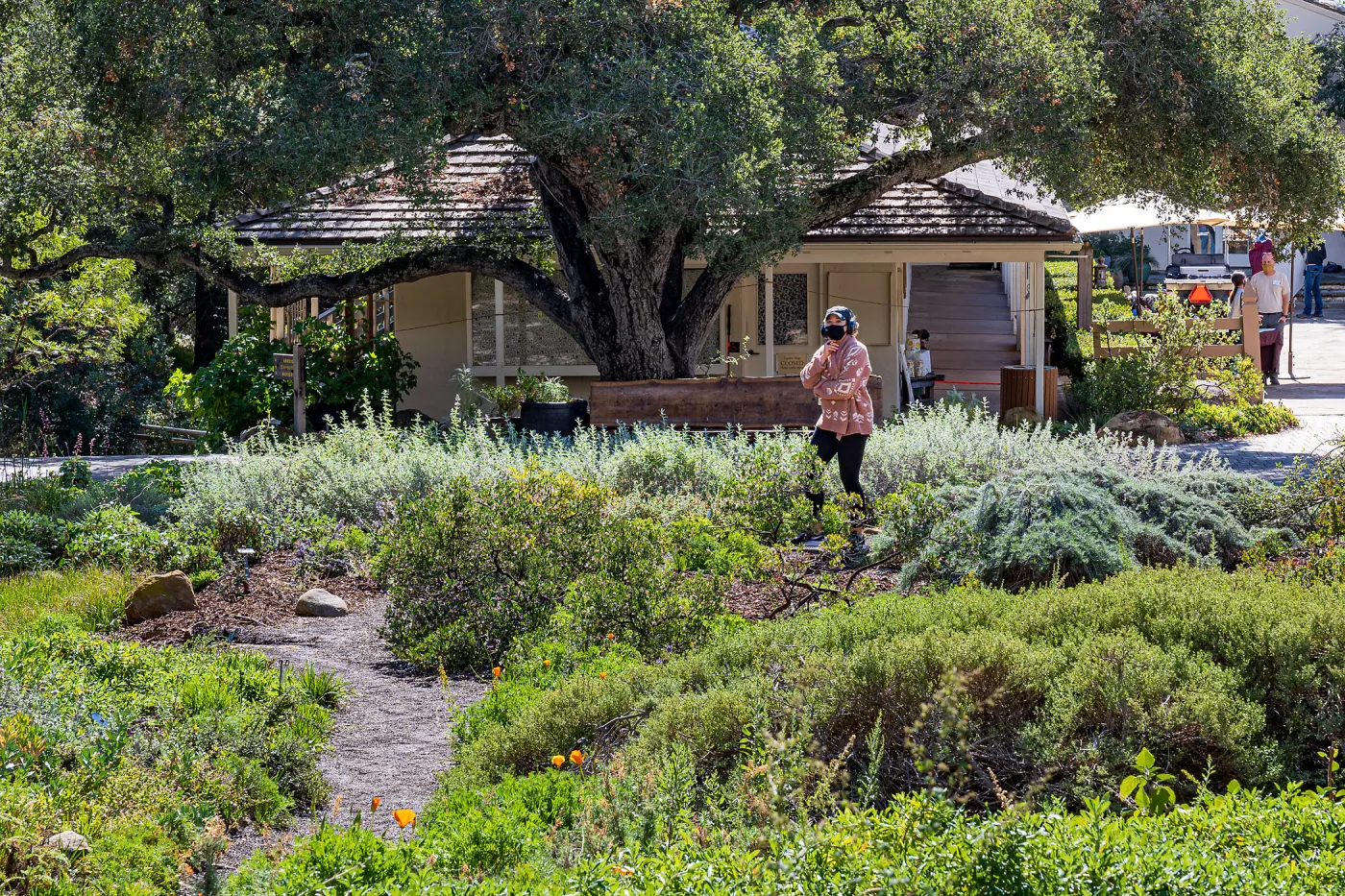 Face Coverings in the Garden