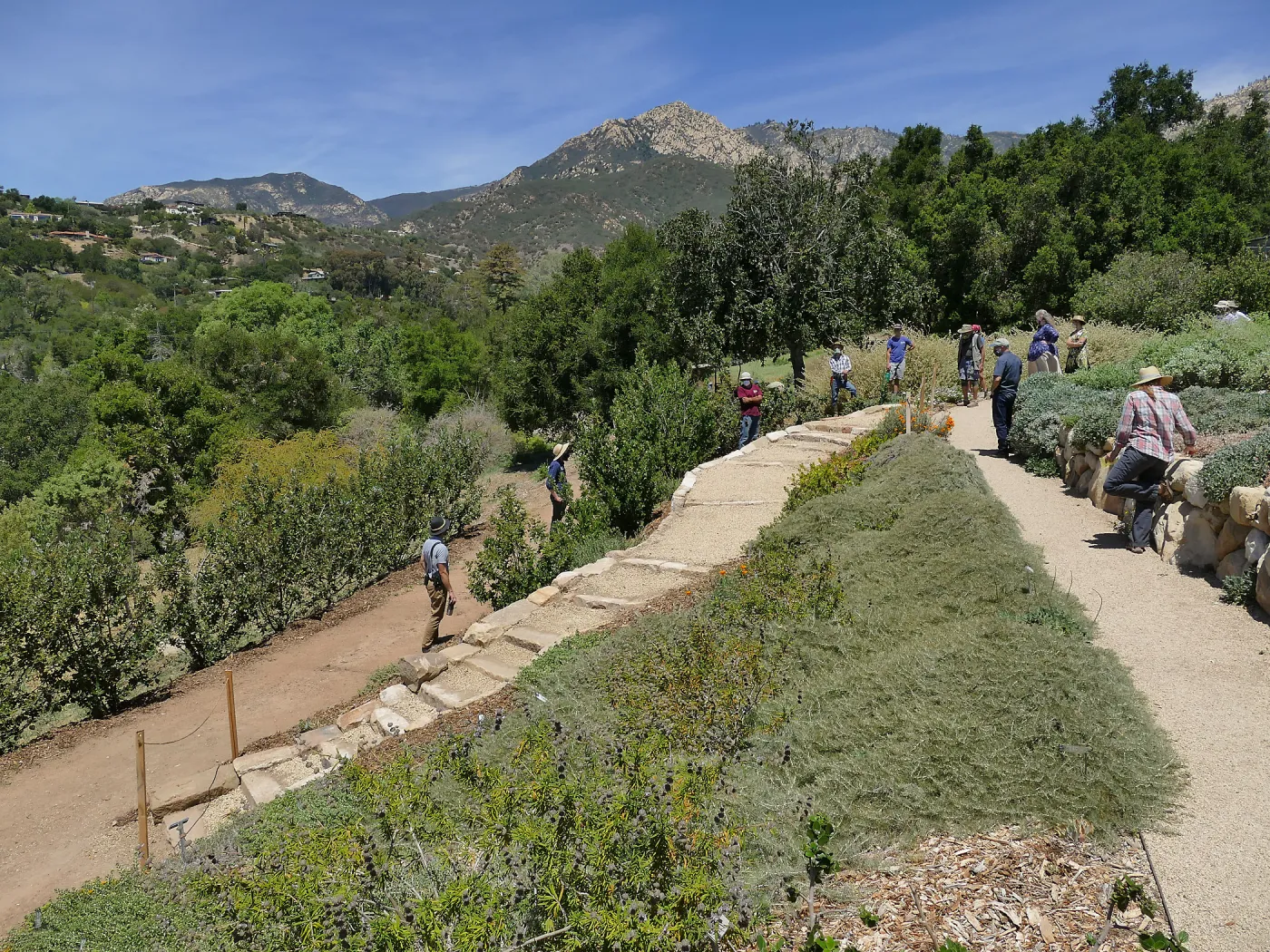 Ribbon cutting for the opening of the new stone staircase in the Island Transect Display built by Jacob Cobian