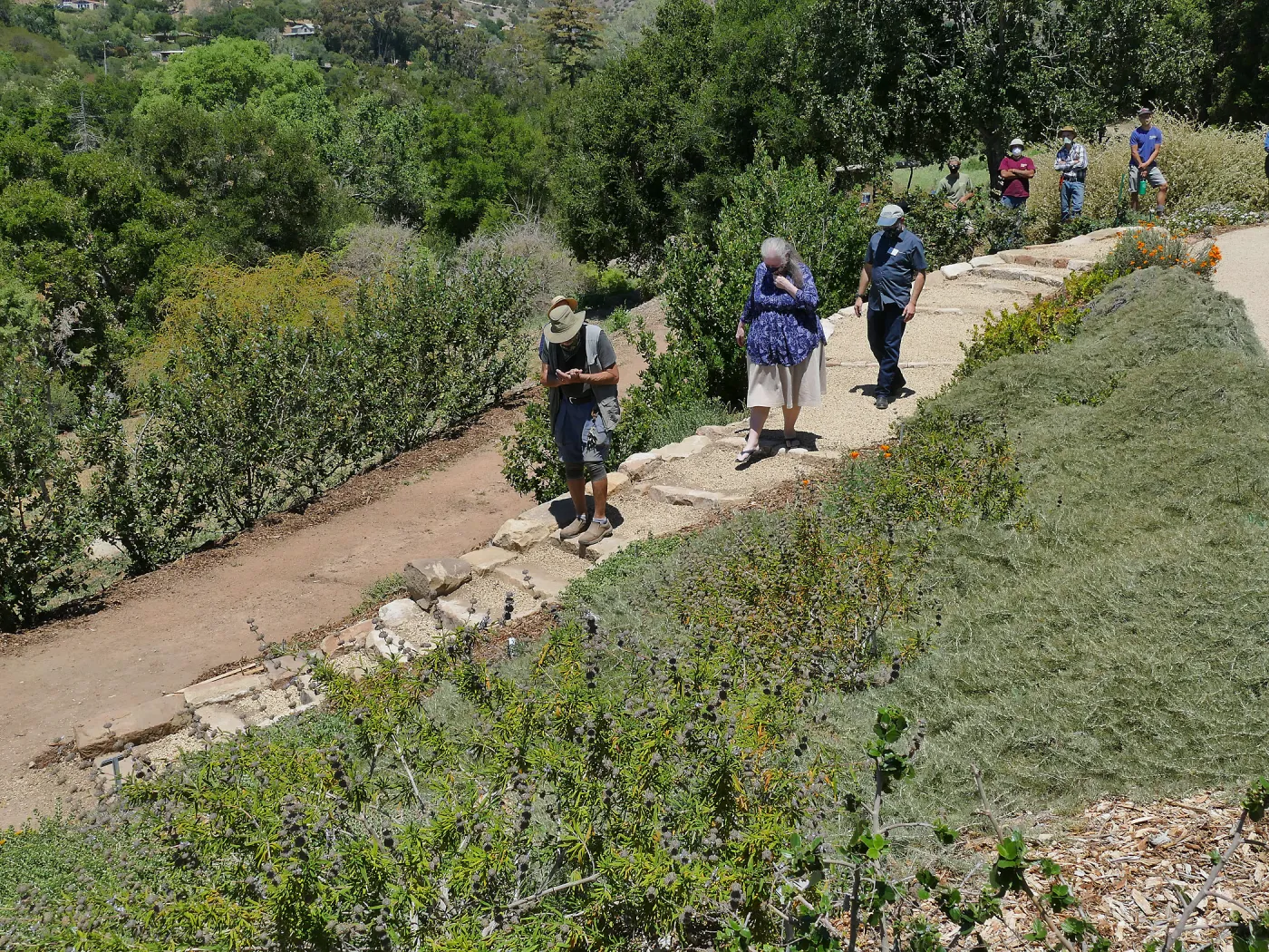 Geege Ostroff, Joan Evans, and Steve Windhager inaugurate the new stone staircase in the Island Transect Display, built by Jacob Cobian