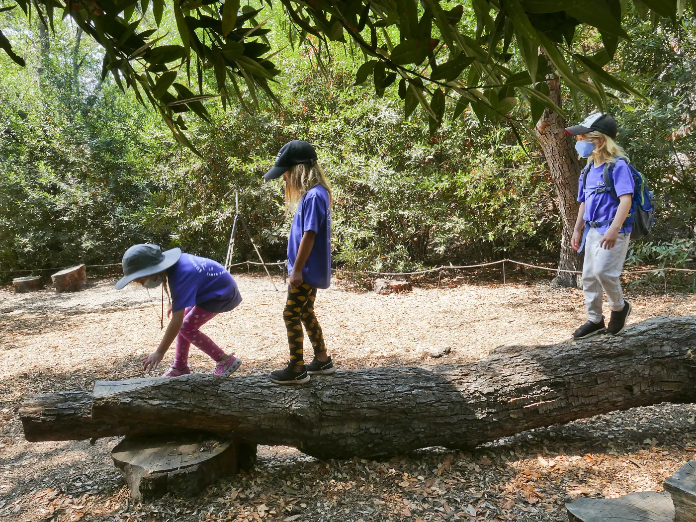 Acorn Adventurers Summer Camp at the climbing logs