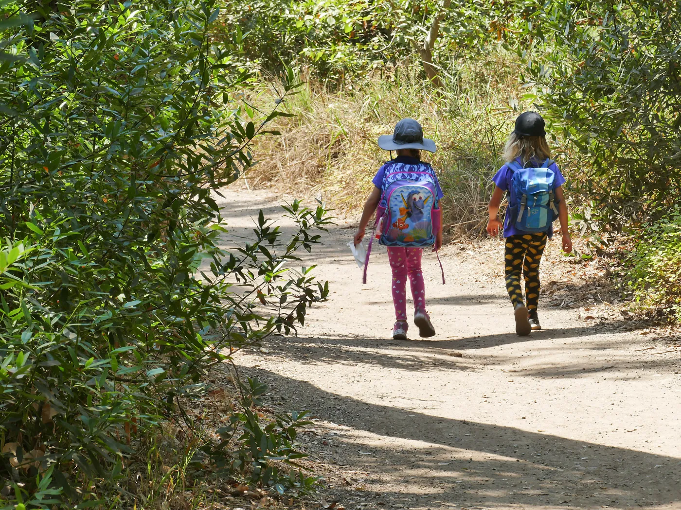 Acorn Adventurers Summer Camp