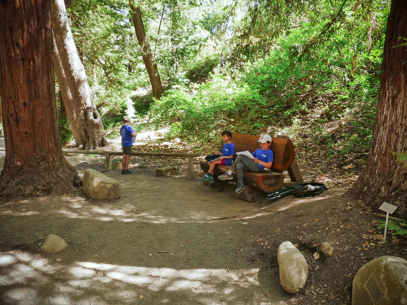 Plantastic Problem Solvers Summer Camp, biomimicry journaling activity