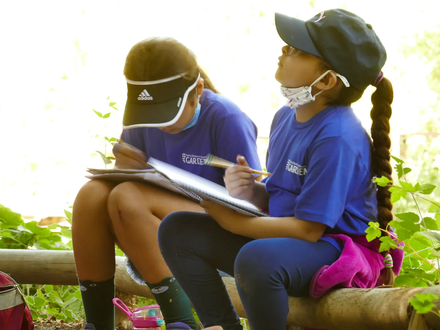 Plantastic Problem Solvers Summer Camp, biomimicry journaling activity