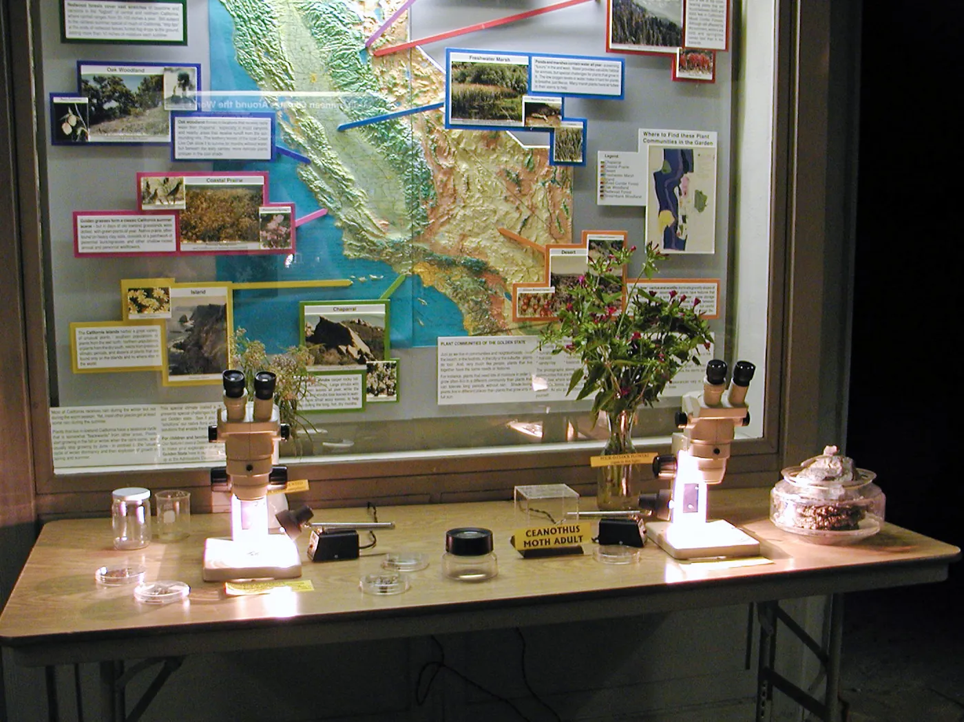 Great Garden Nature Night, Lab in Information Kiosk