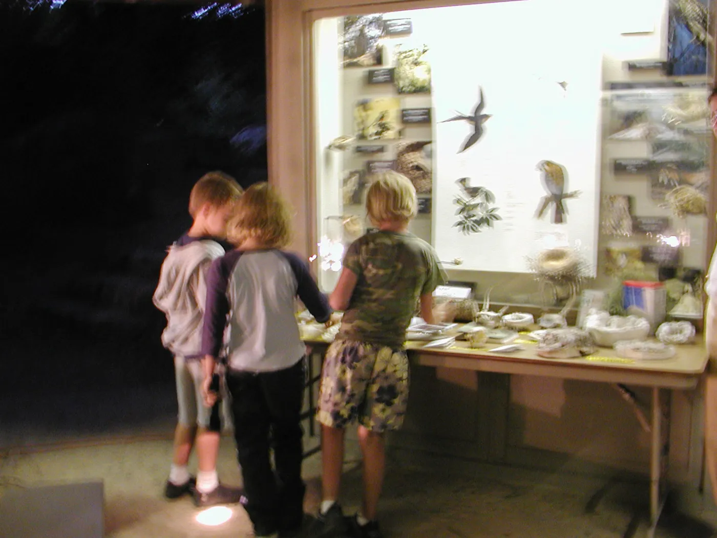 Great Garden Nature Night, lab in Information Kiosk