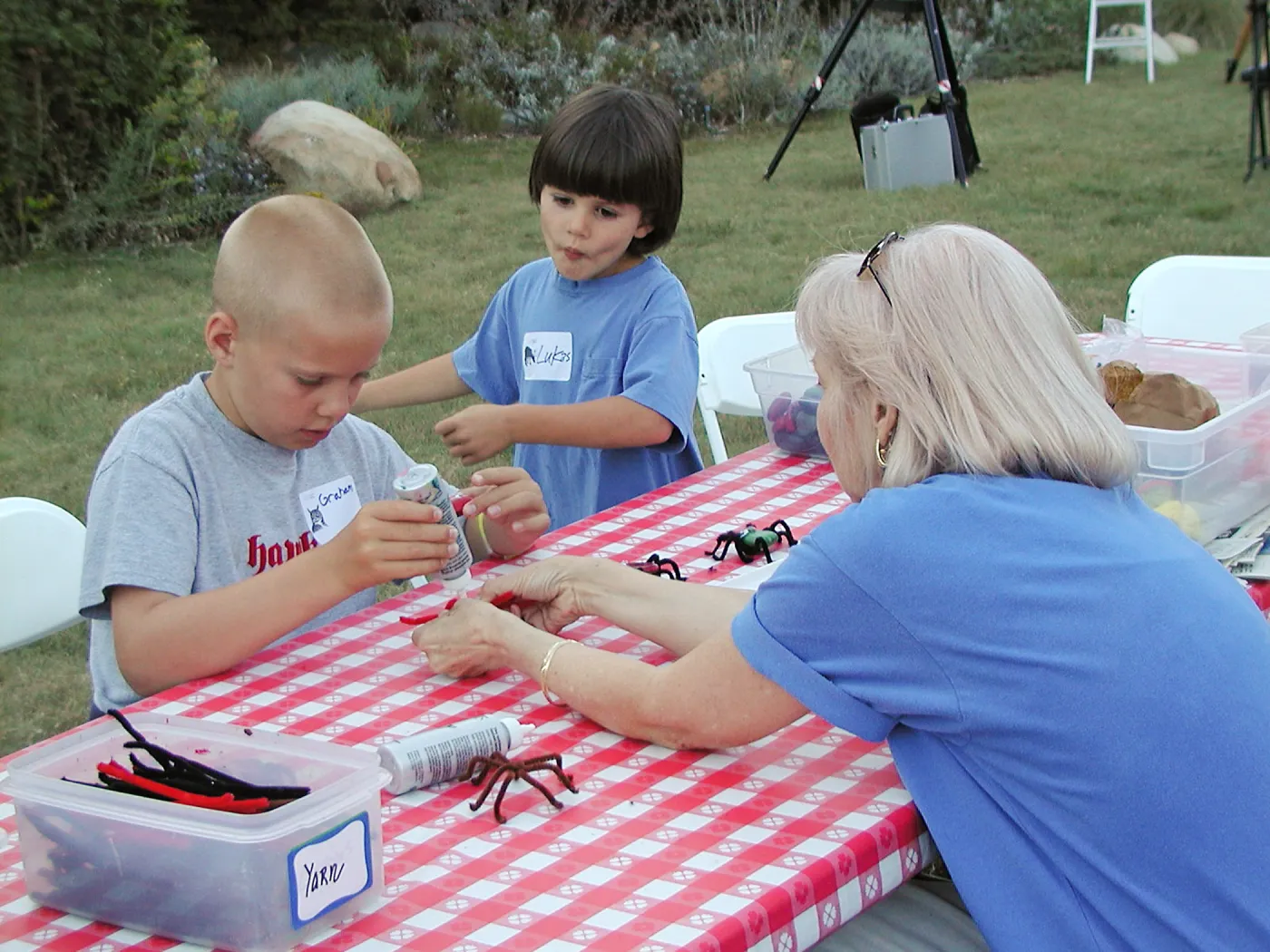 Great Garden Nature Night, Making spiders