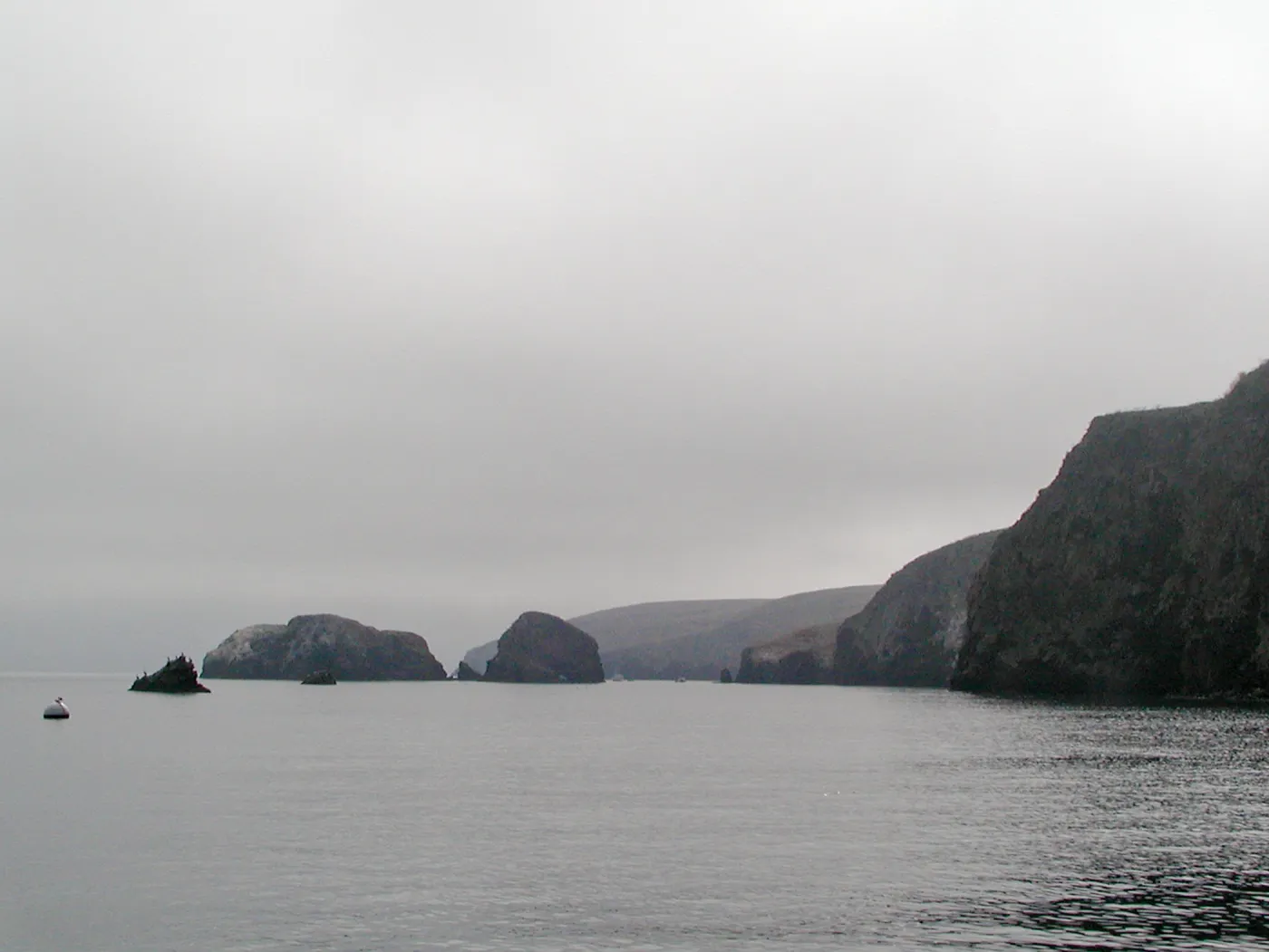 Santa Barbara Island trip 