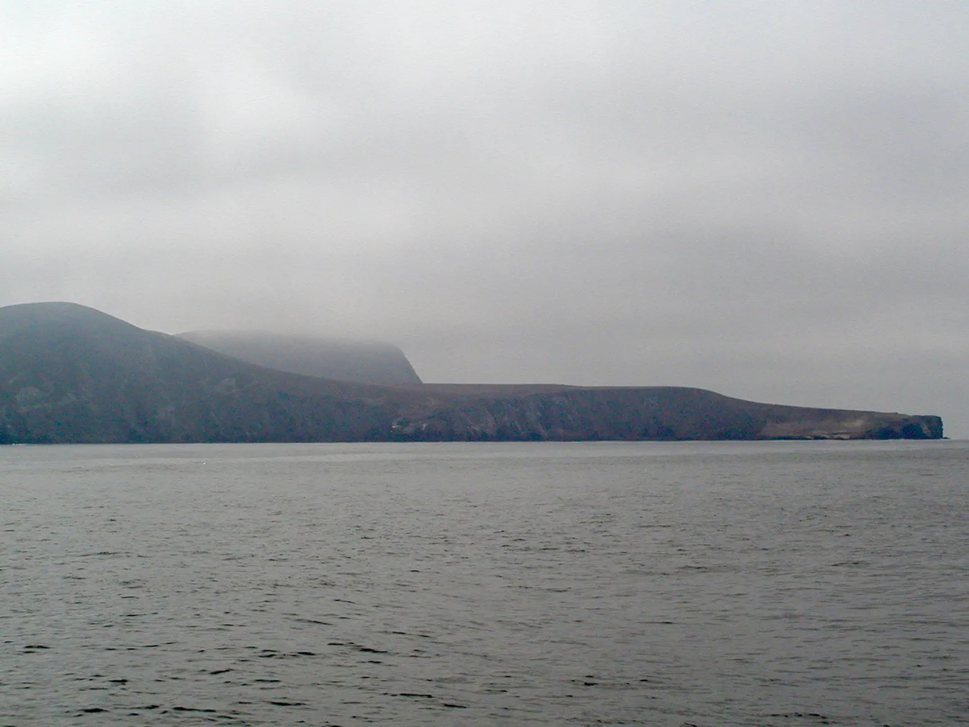 Santa Barbara Island trip 