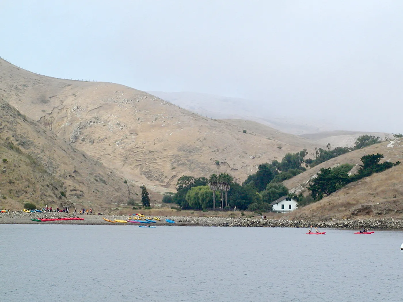 Santa Barbara Island trip 