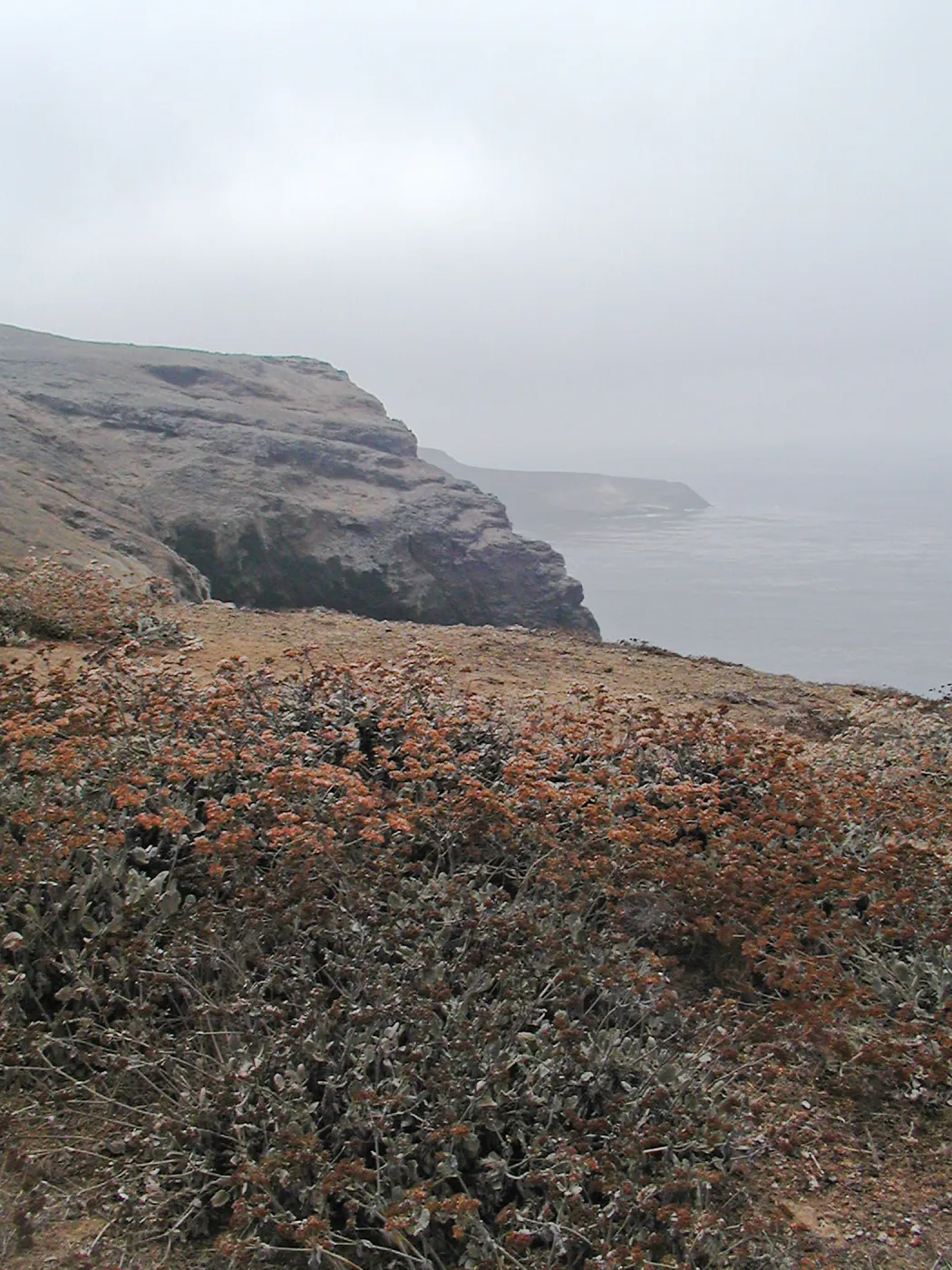 Santa Barbara Island trip 