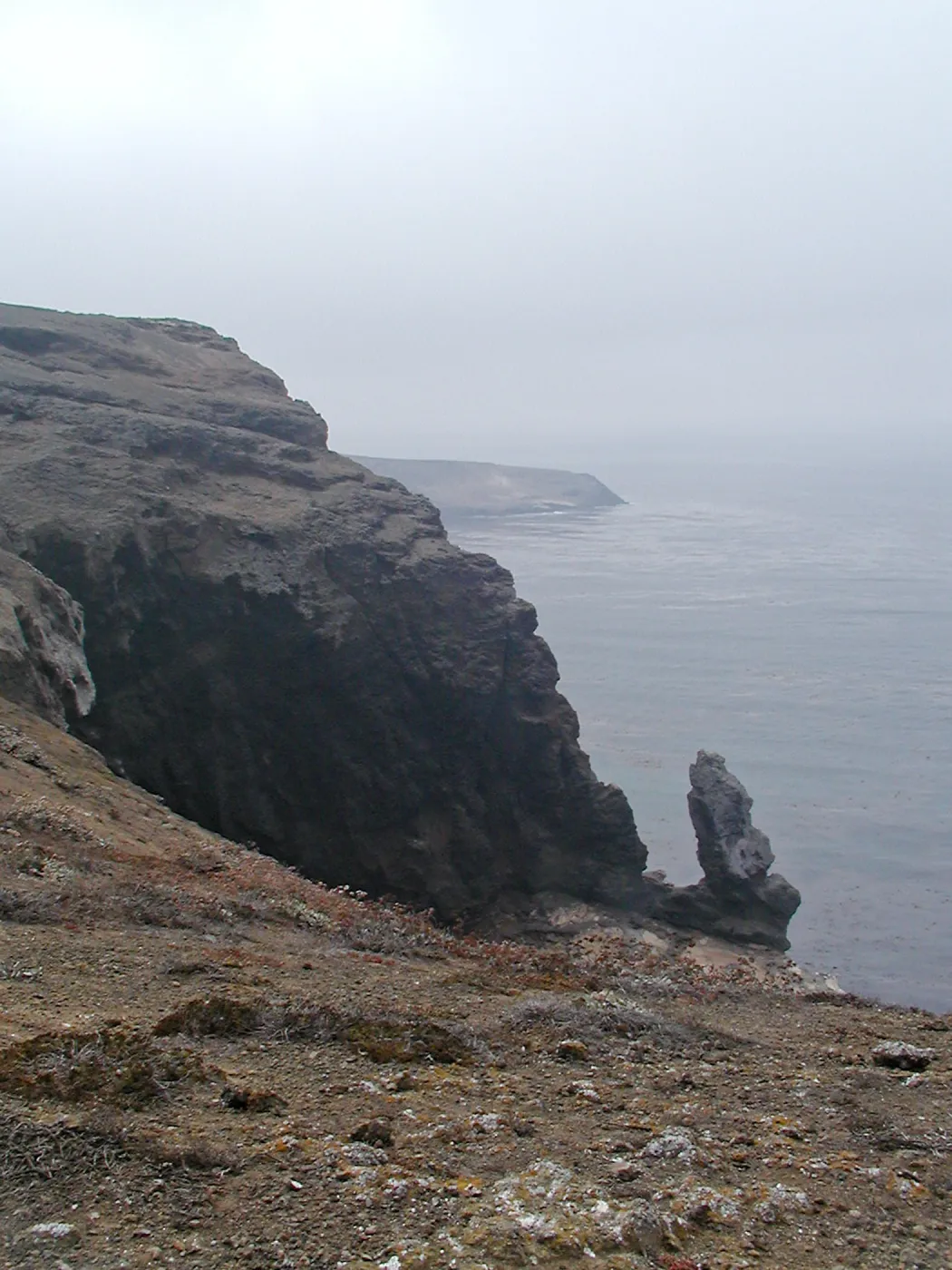 Santa Barbara Island trip 