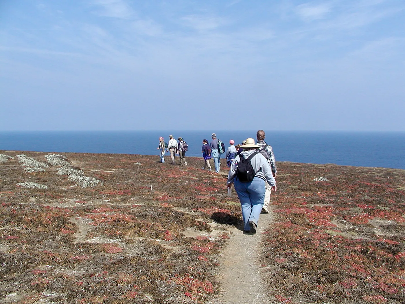 Santa Barbara Island Trip