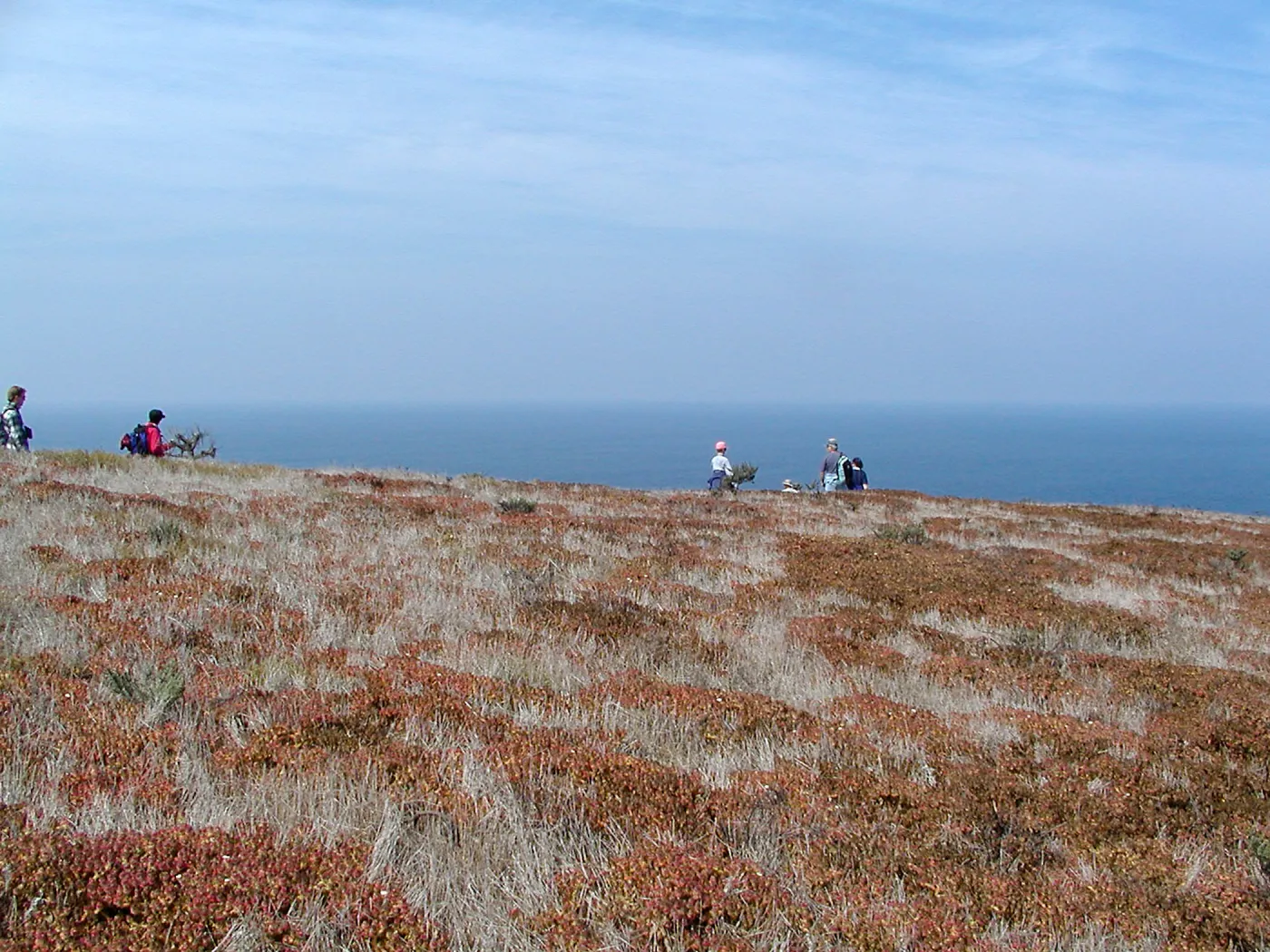 Santa Barbara Island Trip