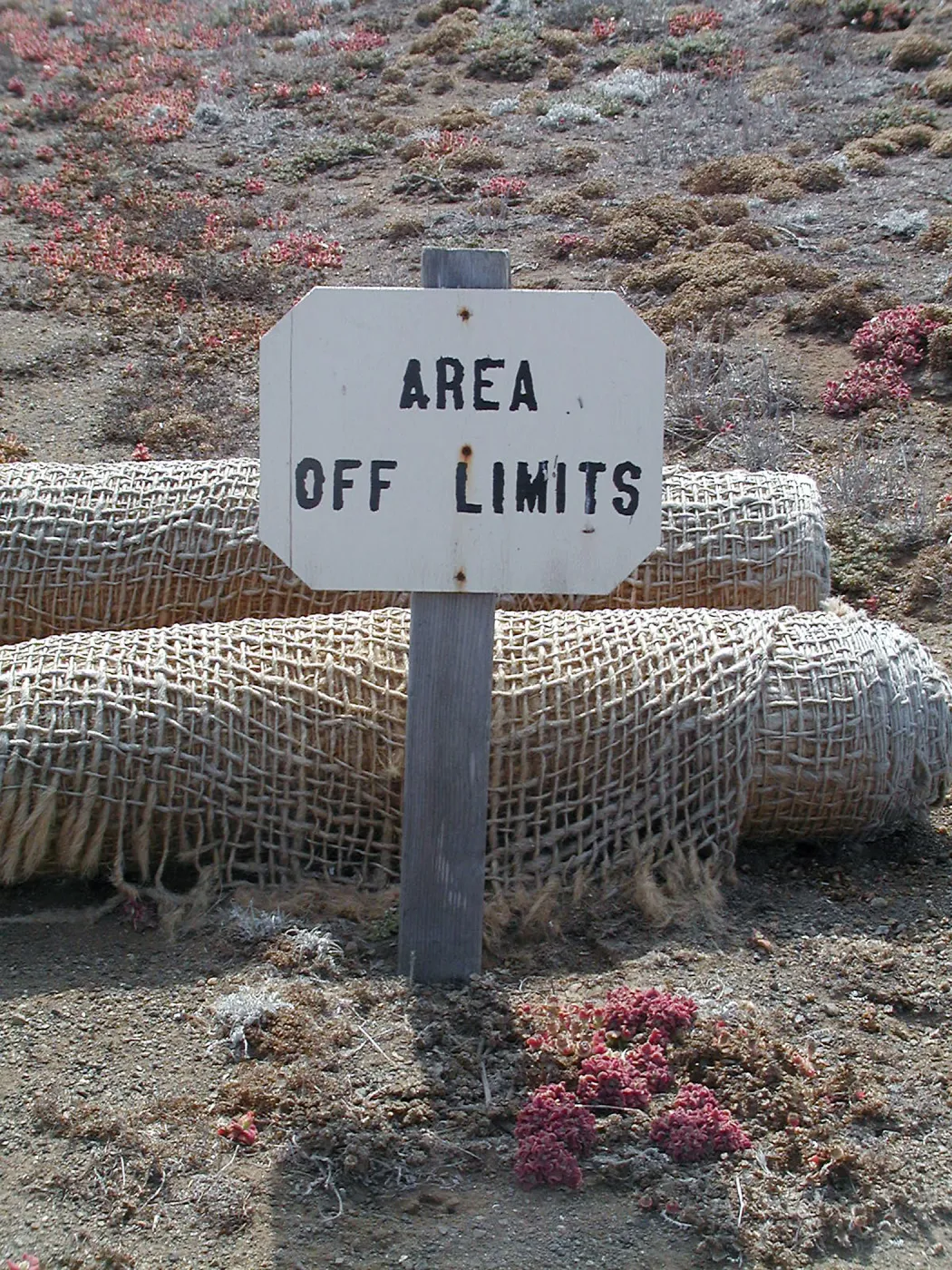 Santa Barbara Island Trip