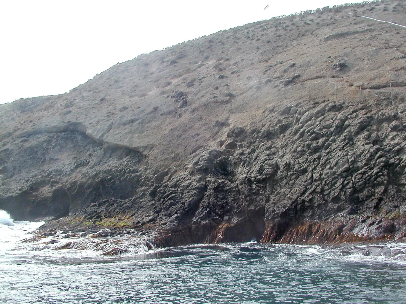 Santa Barbara Island Trip, Landing Cove