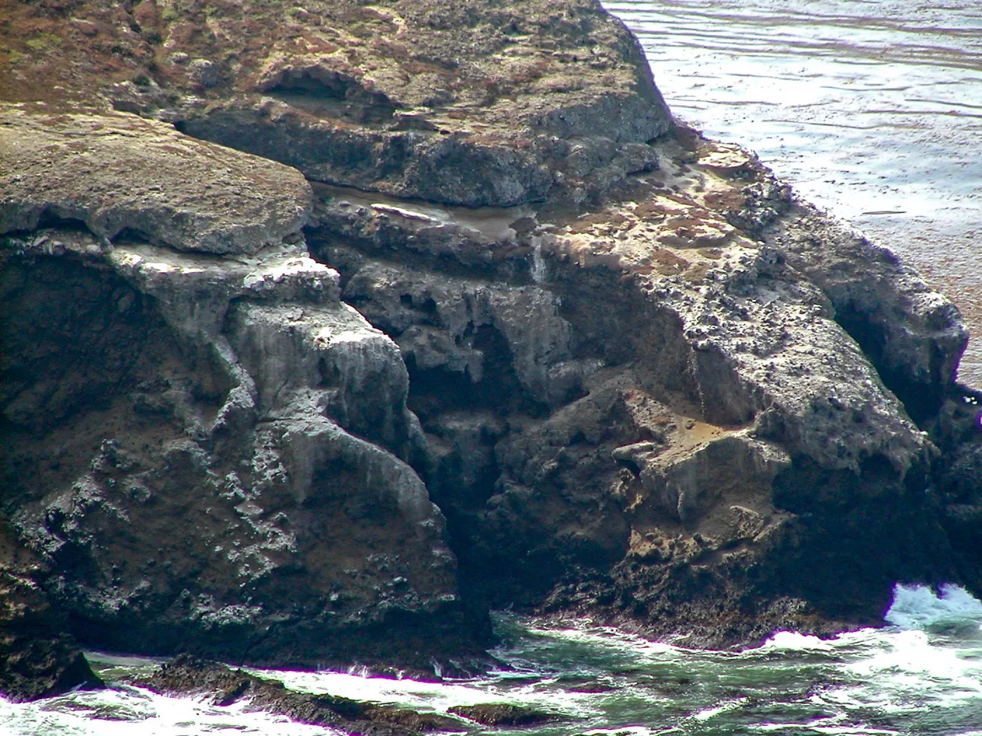 Santa Barbara Island Trip