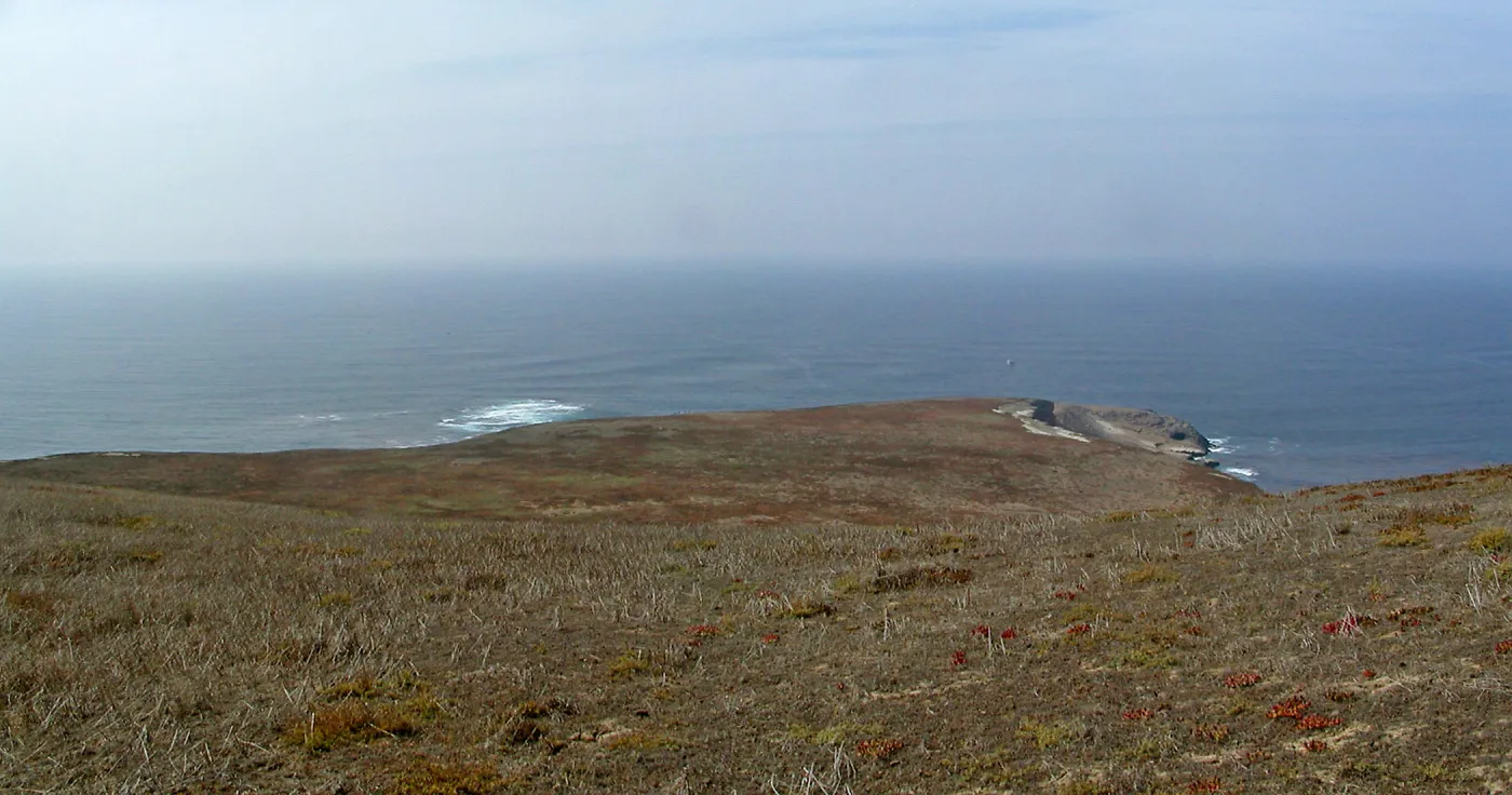 Santa Barbara Island Trip