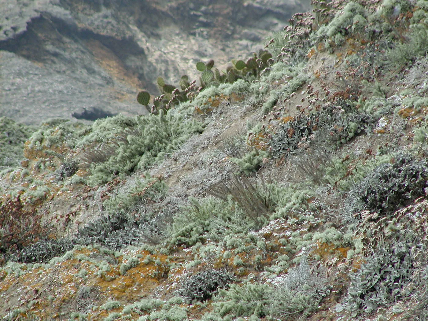 Santa Barbara Island Trip