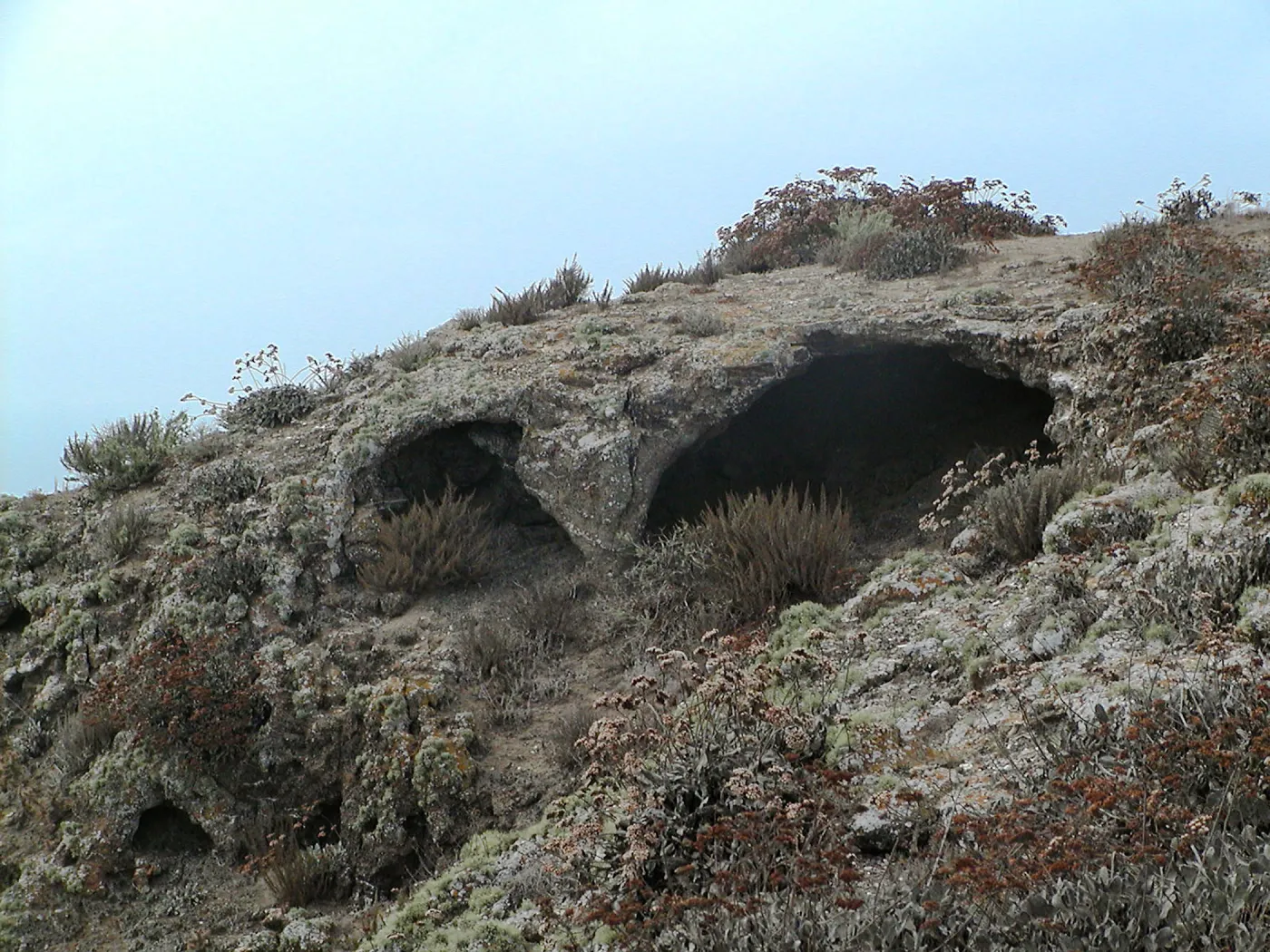 Santa Barbara Island Trip, caves