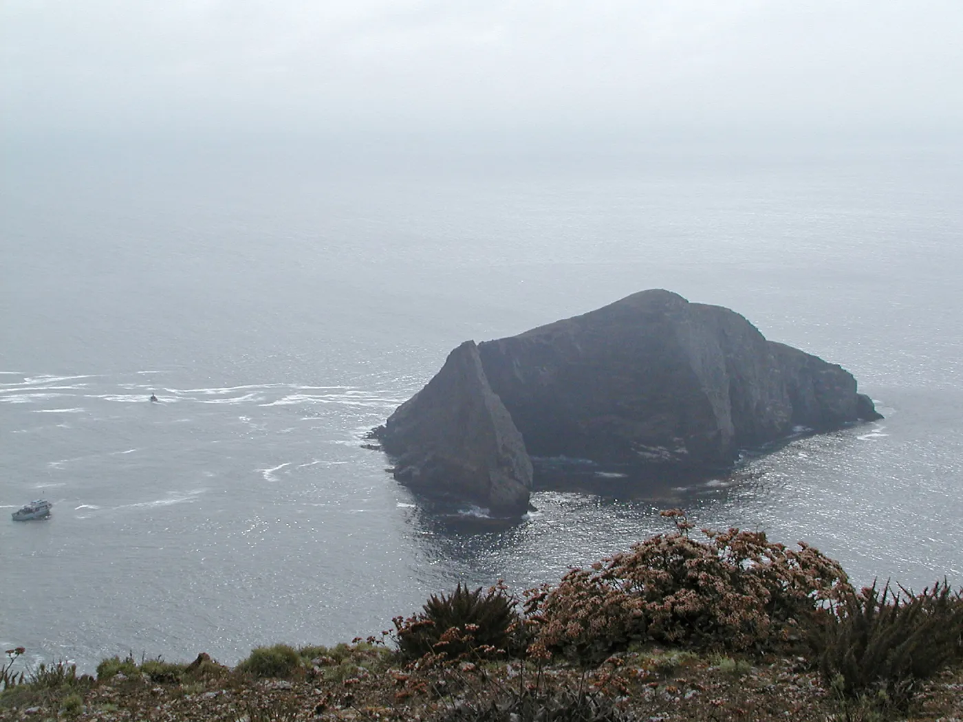 Santa Barbara Island Trip, Sutil Island