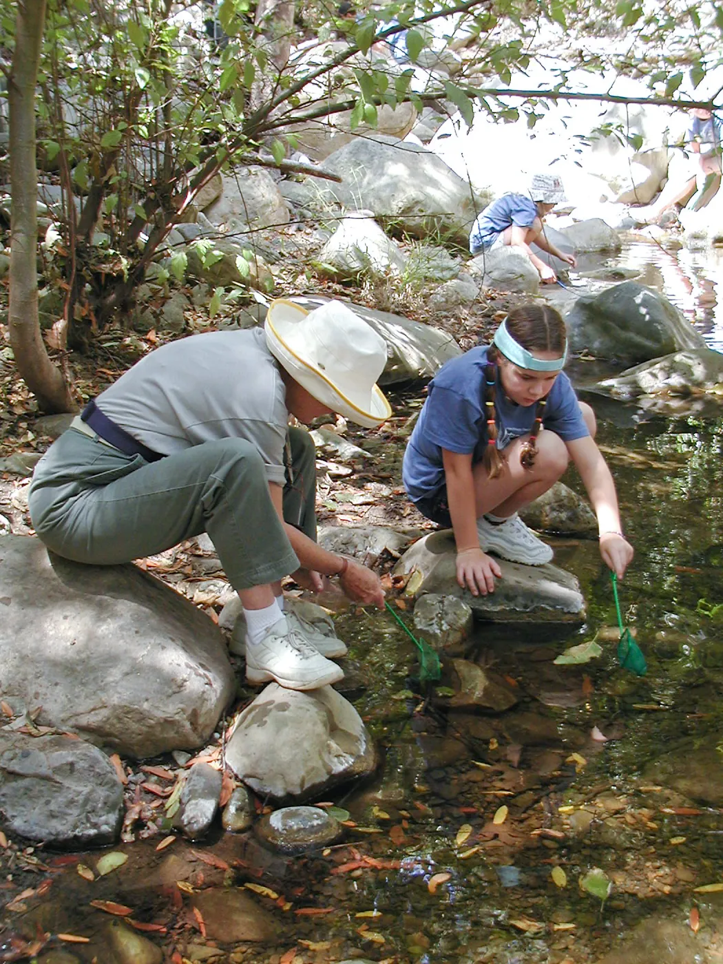 Summer Camp 2003, looking for creatures in Mission Creek