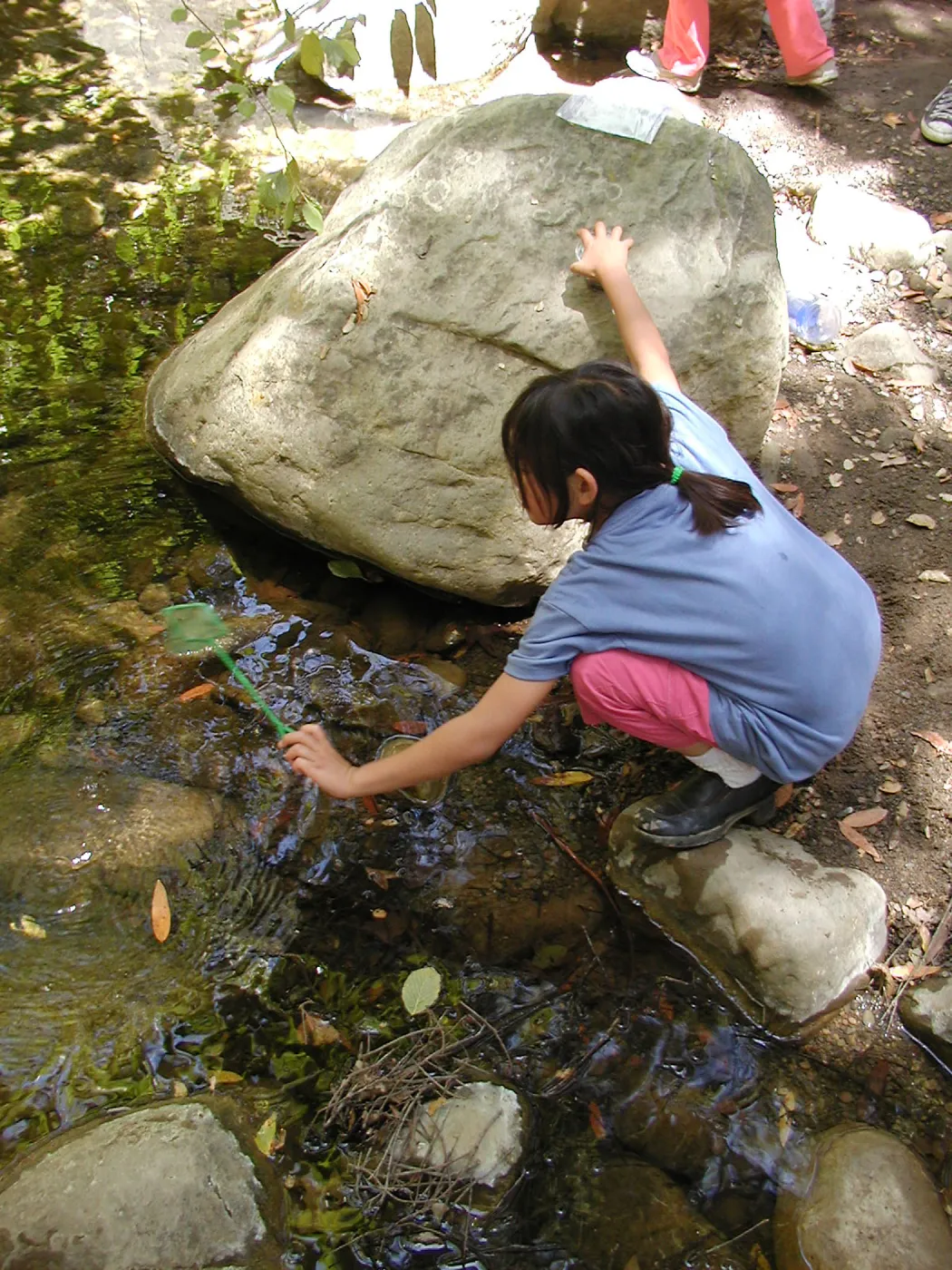 Summer Camp 2003, looking for creatures in Mission Creek