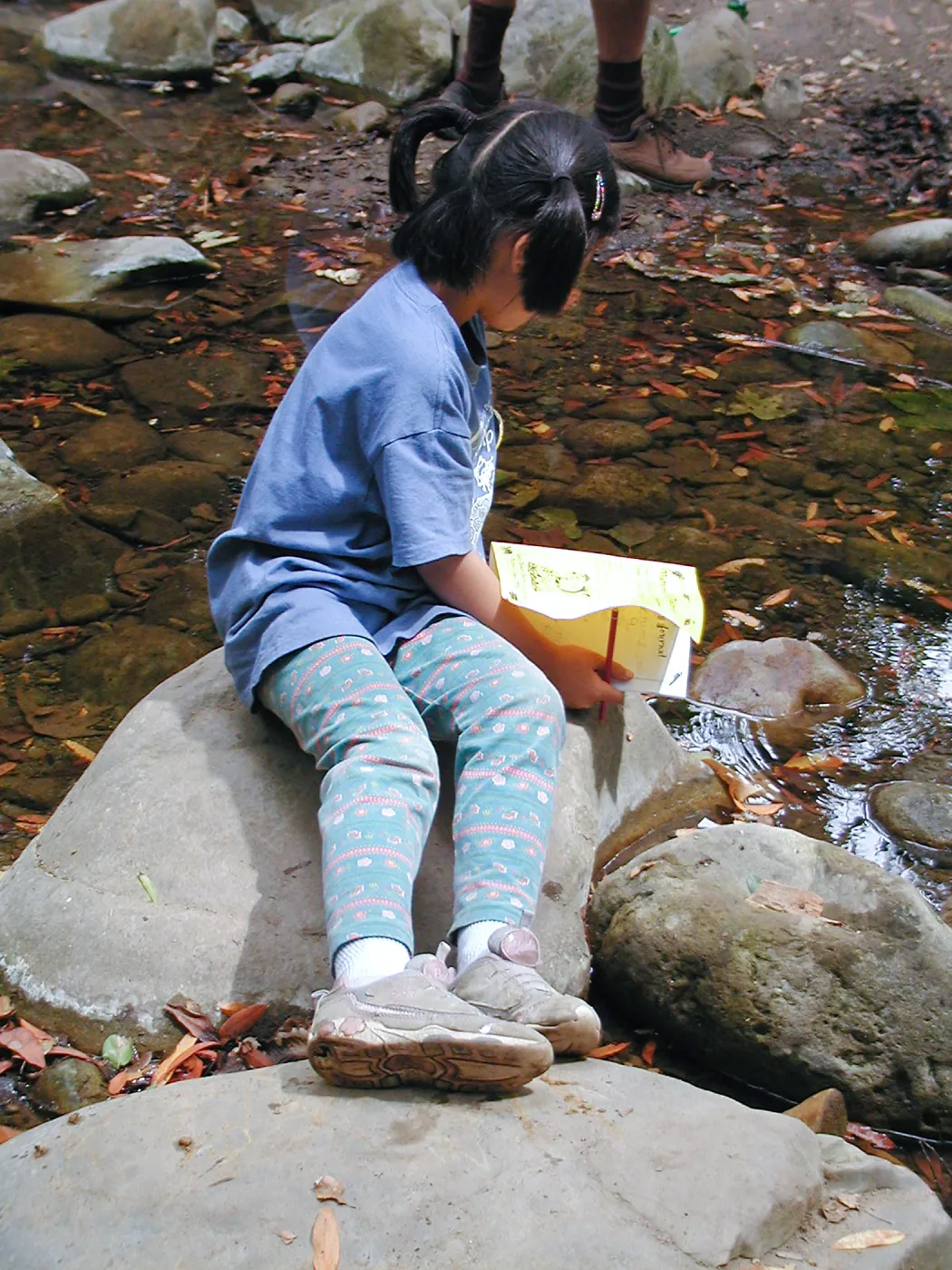 Summer Camp 2003
