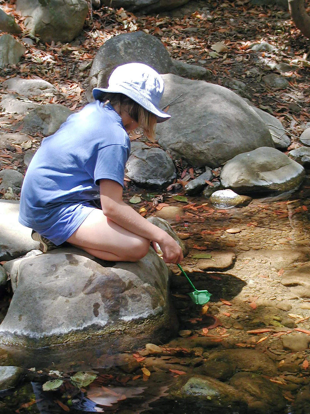Summer Camp 2003, looking for creatures in Mission Creek